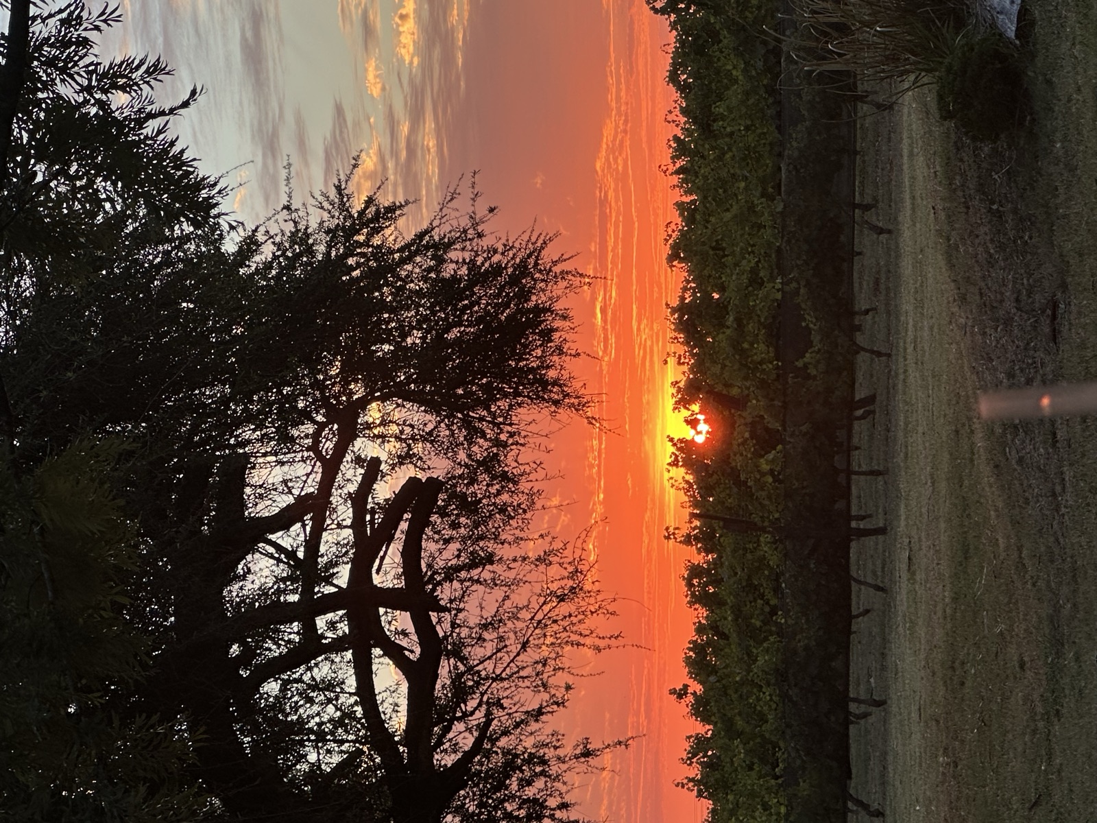 Atardecer encendido sobre el viñedo, visto desde el monte